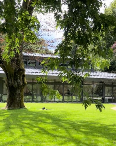 Orangerie moderne à la Villa des Hêtres Pourpres, avec grandes baies vitrées et vue sur le parc environnant.