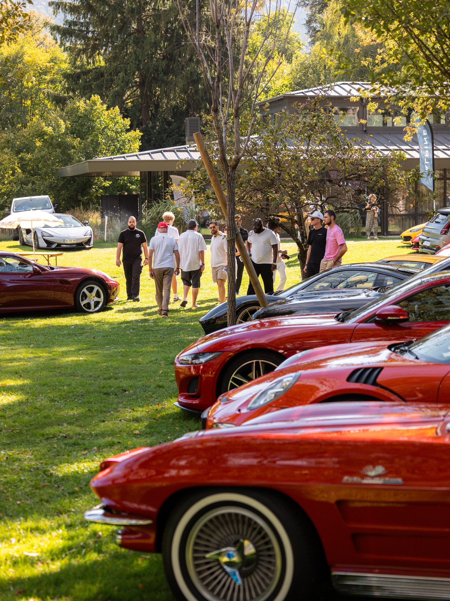 Alignement de supercars lors d’un événement au parc de la Villa des Hêtres Pourpres.